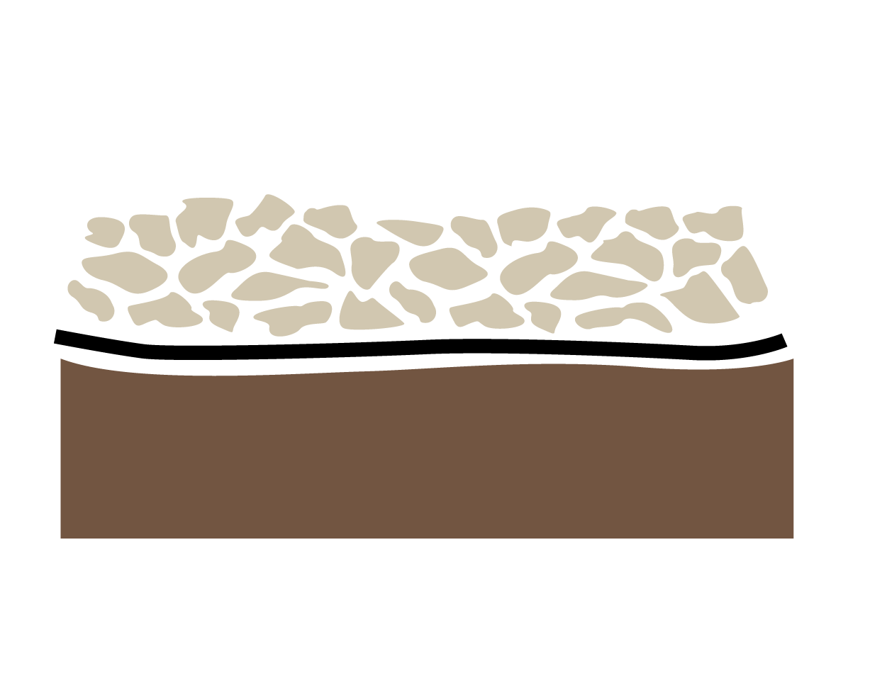 Image of Ground Cover